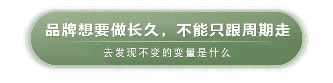 普洱茶的野蛮生长：品种、制作工艺、品质鉴别与品鉴全解析