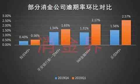 全面了解2020年全国负债率与逾期率：数据解读、影响因素及应对策略