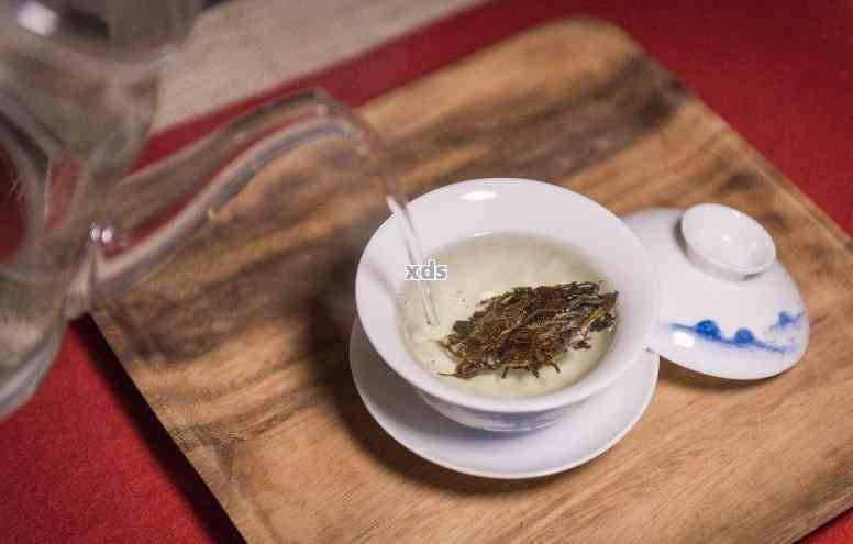 普洱茶冲泡高还是低