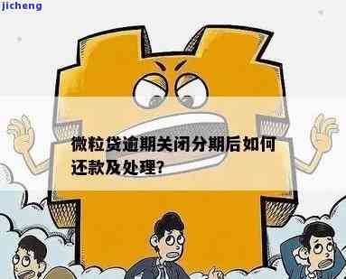 如何避免微粒贷7天逾期导致分期被取消？用户常见问题解答