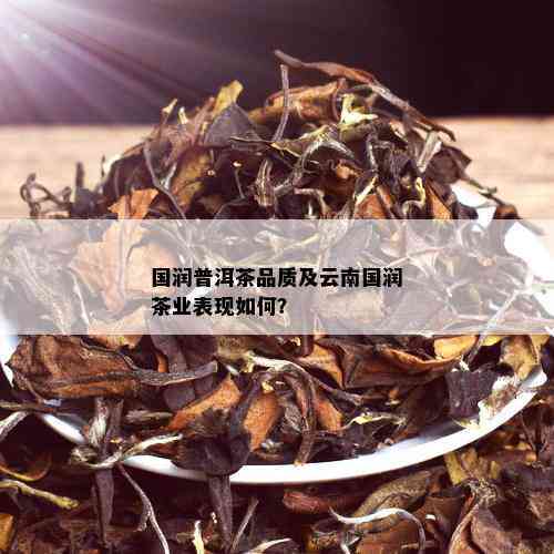 国润天下普洱茶好吗？值得购买吗？怎么样？