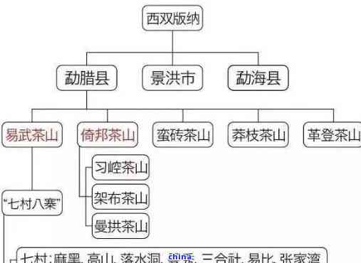 普洱茶的正宗产地及其特色：了解茶叶的起源与品尝之道