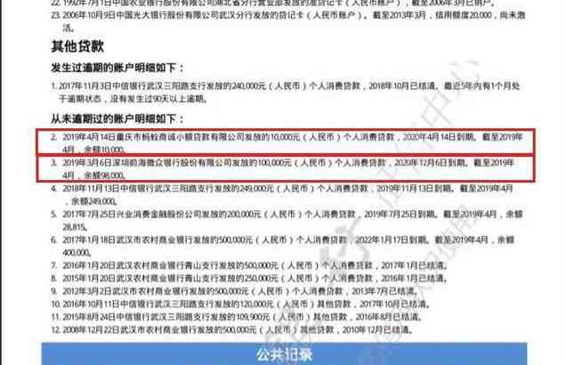 微粒贷和借呗对信用评分的影响：深入了解报告中的关键因素