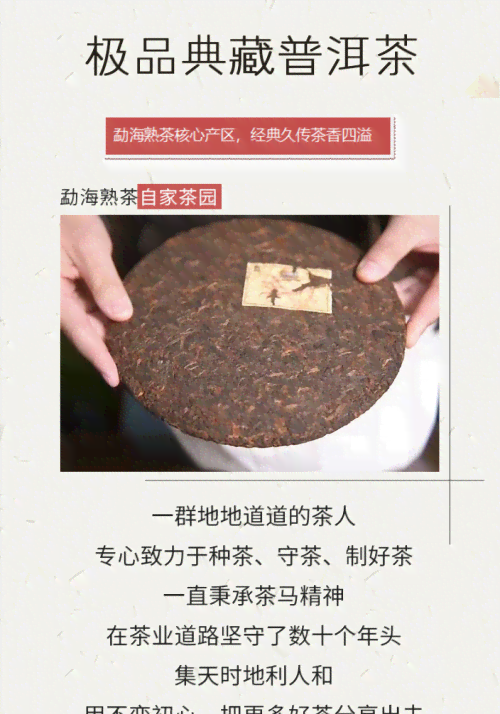 茗善普耳茶：品质越，价格实，尽享茶香人生