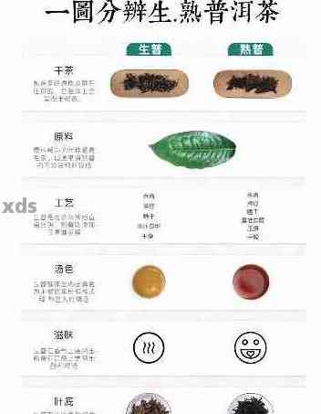 探索普洱茶的世界：品种、口感、冲泡与品鉴，一篇全面的指南