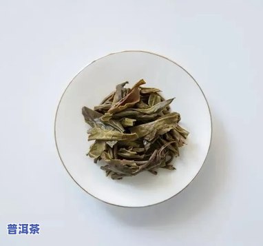 普洱茶为什么受到关注：解析其火爆原因及茶梗现象