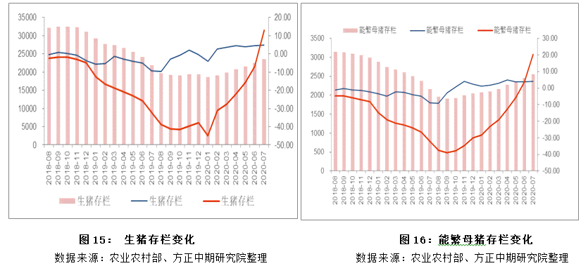 和田玉豆子市场价格走势分析：影响因素、购买建议与收藏价值探讨