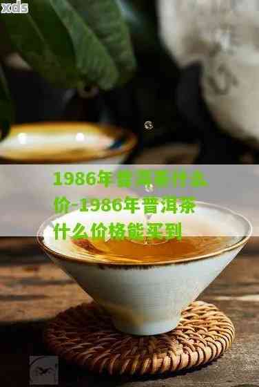 8582普洱茶1982:生熟区别、简介、价格、意义与80年代价位解析