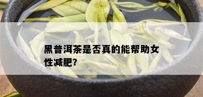 无量山15年普洱茶价格