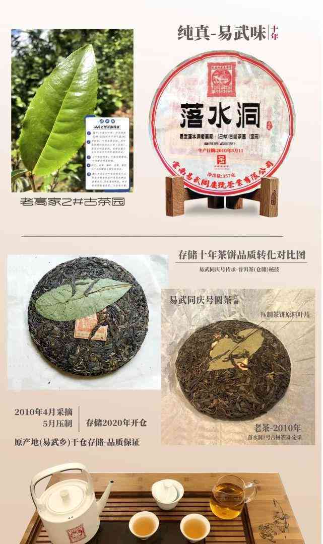 普洱茶中的黑点识别及其品质影响因素探讨