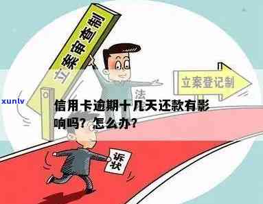 信用卡逾期不还：一位国外留学生的跑路经历与教训