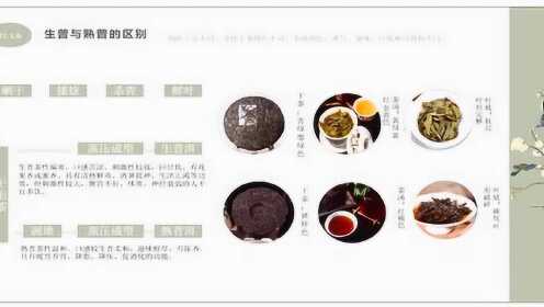 山韵2016普洱茶简介与特点：品鉴独特风味，了解制作工艺