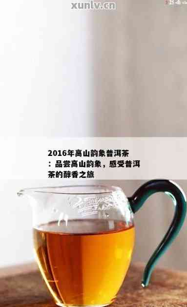 山韵2016普洱茶简介与特点：品鉴独特风味，了解制作工艺