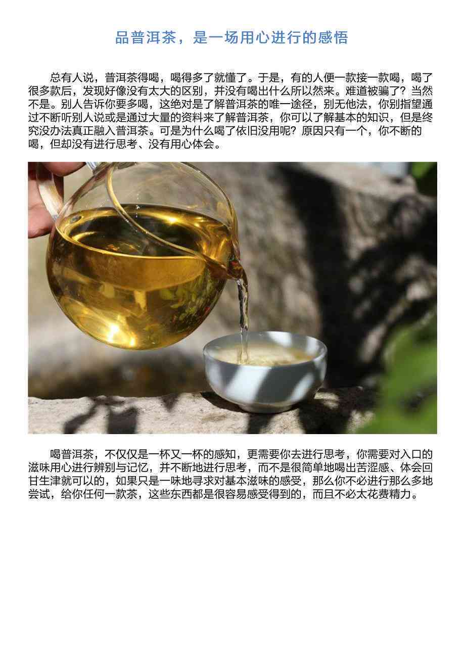 对普洱茶文化的见解感悟与认识