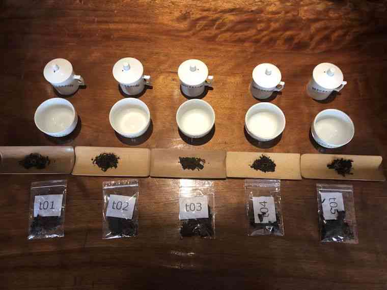 新探索普洱茶王茶业的独特魅力：、工艺、口感与品质的综合解析