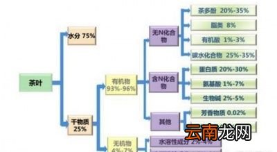 普洱茶代谢