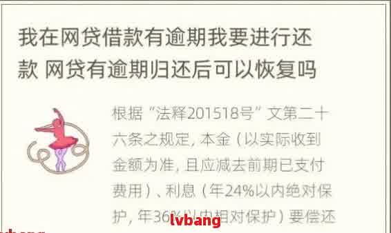 全面了解网贷期23年还款政策：如何应对逾期还款与利息减免？