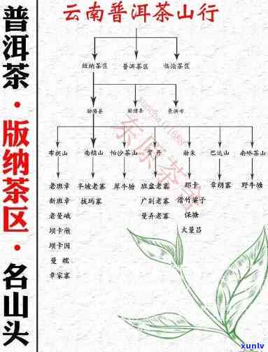 布朗山普洱茶名山寨全方位解析：从产地到品质，一次看个够！