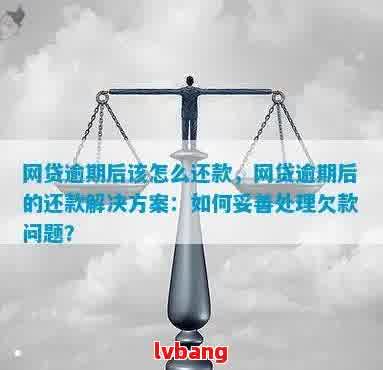 网贷逾期后多次少量还款的影响与应对策略：全面解析