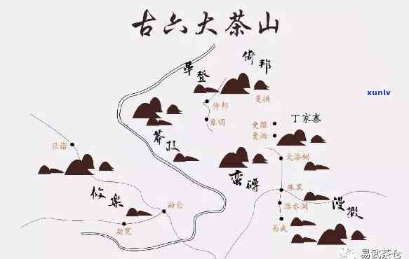 六大茶山古树普洱茶特点分析：介绍与详解普洱六大古茶山特色