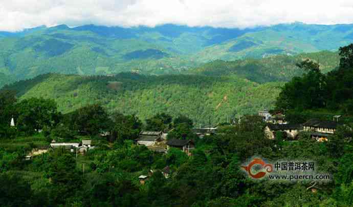 云南省南涧县普洱茶产地地址