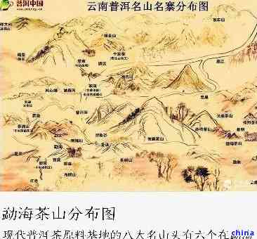 普洱茶与四大名山：探索产地、品质与文化的全面指南