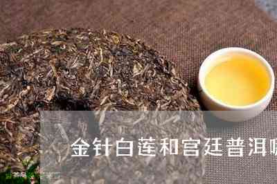 云针普洱茶