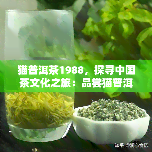 探究猫饼：普洱茶与猫文化的独特融合