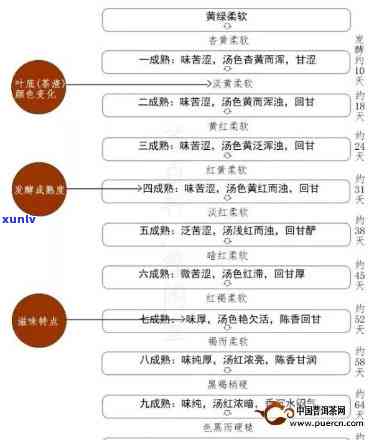 普洱茶进阶完整指南：茶款、路线与经验分享