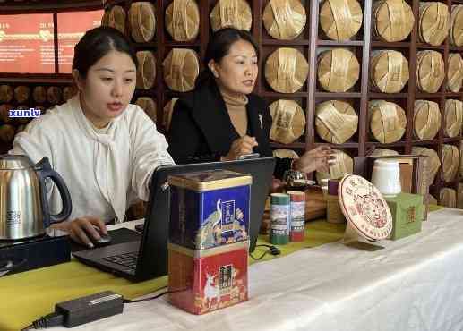 '昆明茶协普洱茶基地直播：真实揭示，协会人员，与昆明茶厂普洱茶相关'