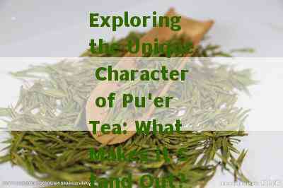 What are the distribution characteristics of Pu'er tea?