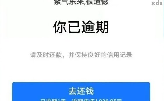 提前还款还是期还款？关于借呗的协商讨论