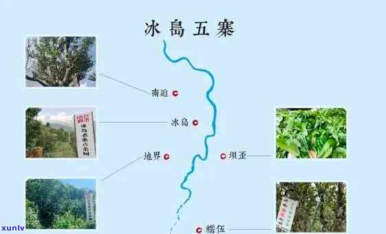 冰岛普洱茶产区的全方位探索：地理、气候、土以及茶叶品质解析