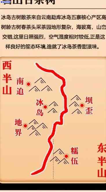 冰岛普洱茶产区的全方位探索：地理、气候、土以及茶叶品质解析