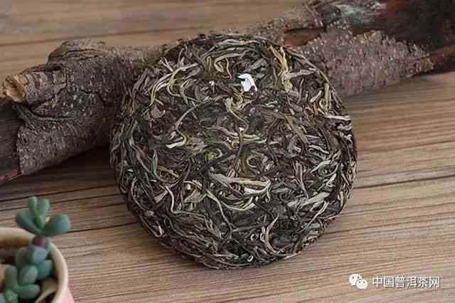 芸云南普洱茶：一款承载历与文化的珍贵茶叶