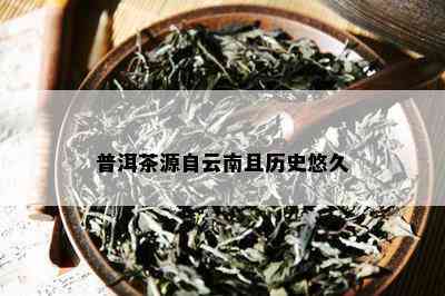 芸云南普洱茶：一款承载历与文化的珍贵茶叶