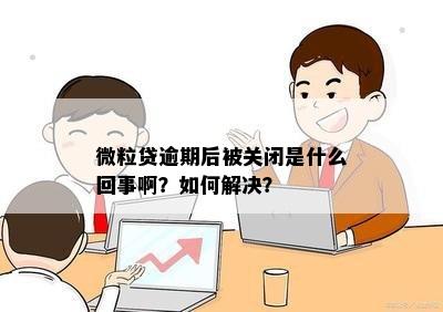 逾期的微粒贷账户被关闭：原因、影响与解决方案