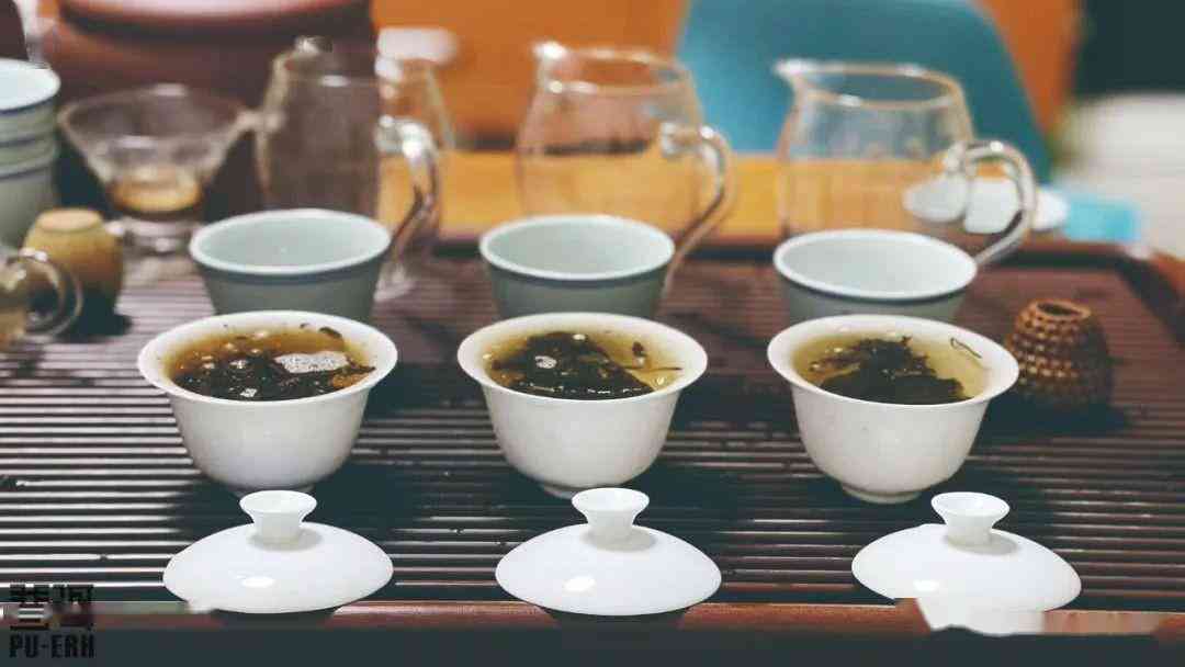 普洱茶堂：品鉴普洱茶的魅力、选购技巧与泡法，助你成为普洱茶达人