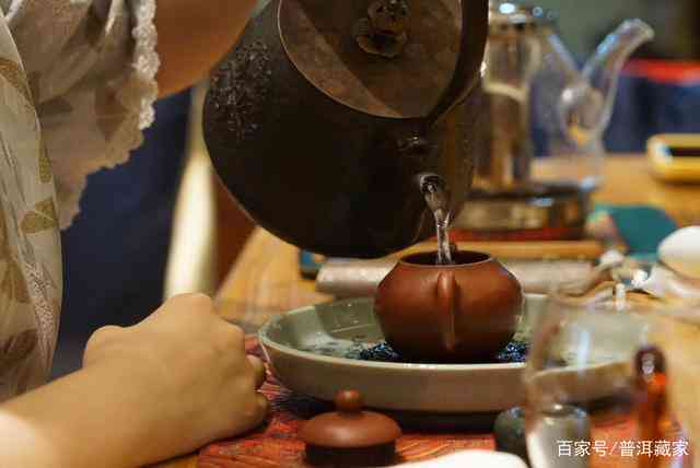 普洱茶堂：品鉴普洱茶的魅力、选购技巧与泡法，助你成为普洱茶达人