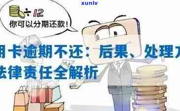 信用卡逾期后的综合解决方案：如何有效止损、节省利息和恢复信用？