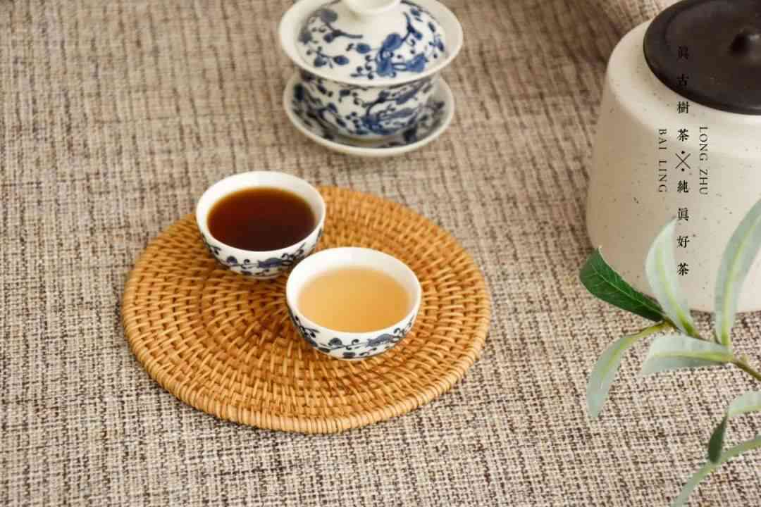 2008年西双版纳原生态普洱茶：古树茶香中的珍品宴