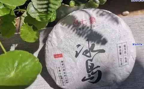 冰岛山雨树普洱茶好喝吗？值得买吗？