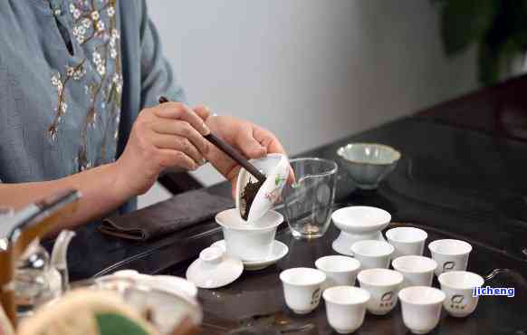 深入了解普洱茶的品鉴艺术：从选茶到品鉴步骤详解