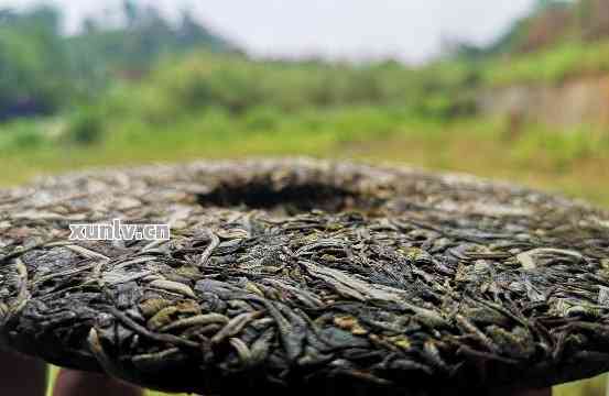 那卡普洱茶：高端茶品简介与产地特点