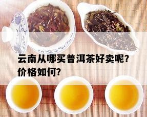 普洱茶笋壳包装价格及购买渠道全面解析，助您轻松选购高品质茶叶