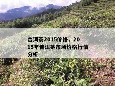 湖地区普洱茶市场价格行情分析