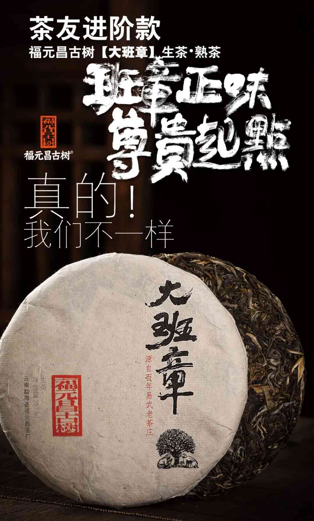 探索州与普洱茶的完美结合：一次味觉与文化的双重体验