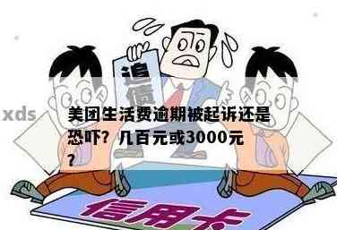 美团生活费逾期3000元，最后协商阶发来的起诉通知：如何应对与解决？