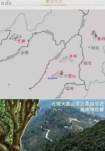 无量山普洱茶产区地理位置与特点：探索云南大山深处的茶叶圣地