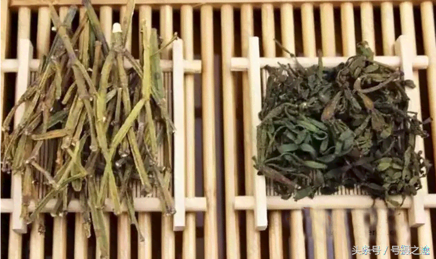 普洱茶的饮用次数及其功效：一天应该喝几次？